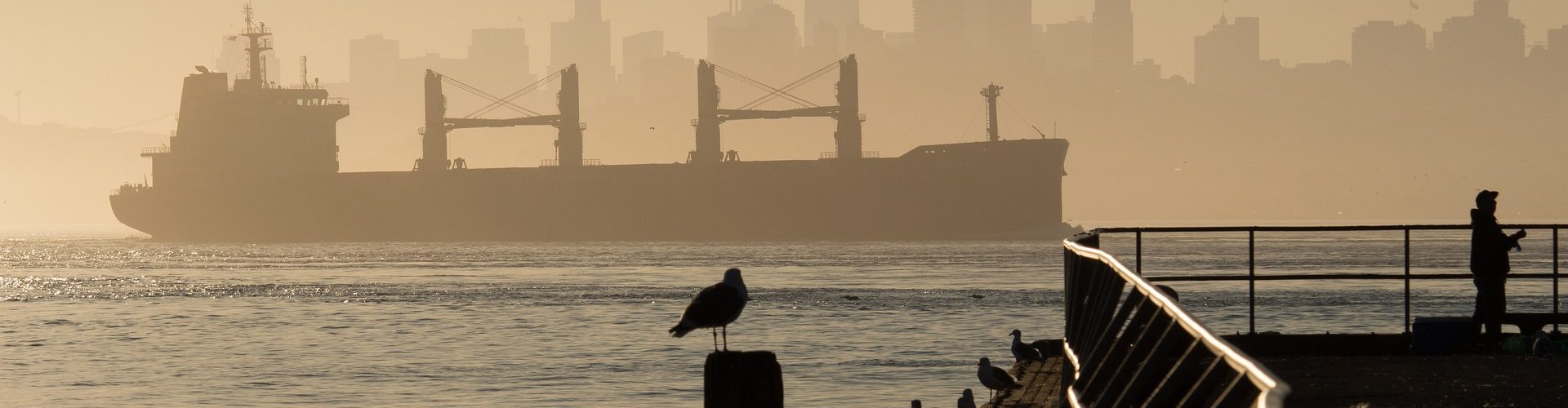 Bild av JanBirdie från Pixabay föreställande vyn med stort skepp i bakgrunden och skyskrapor.